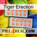 Tiger Erection 27